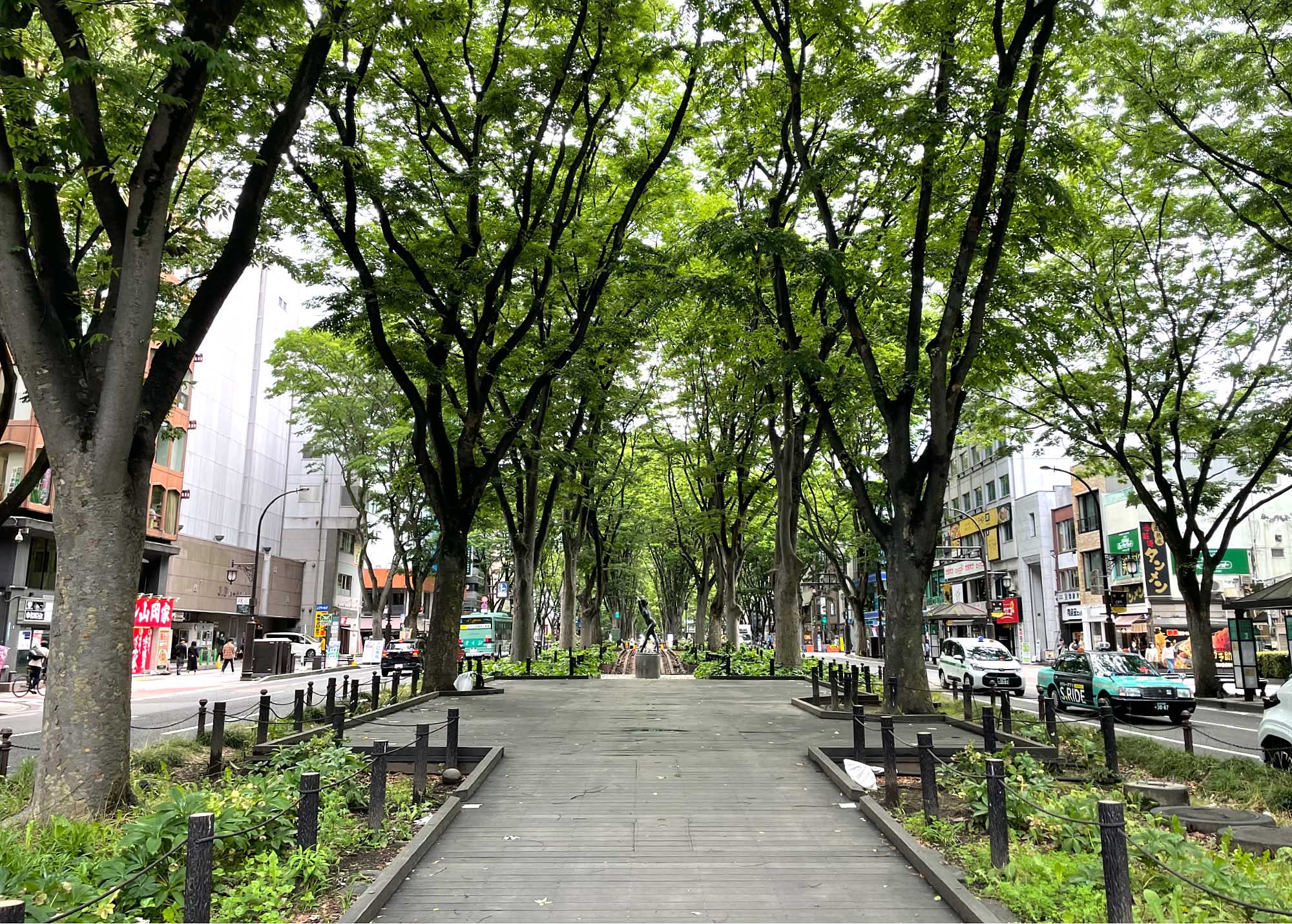 定禅寺通り