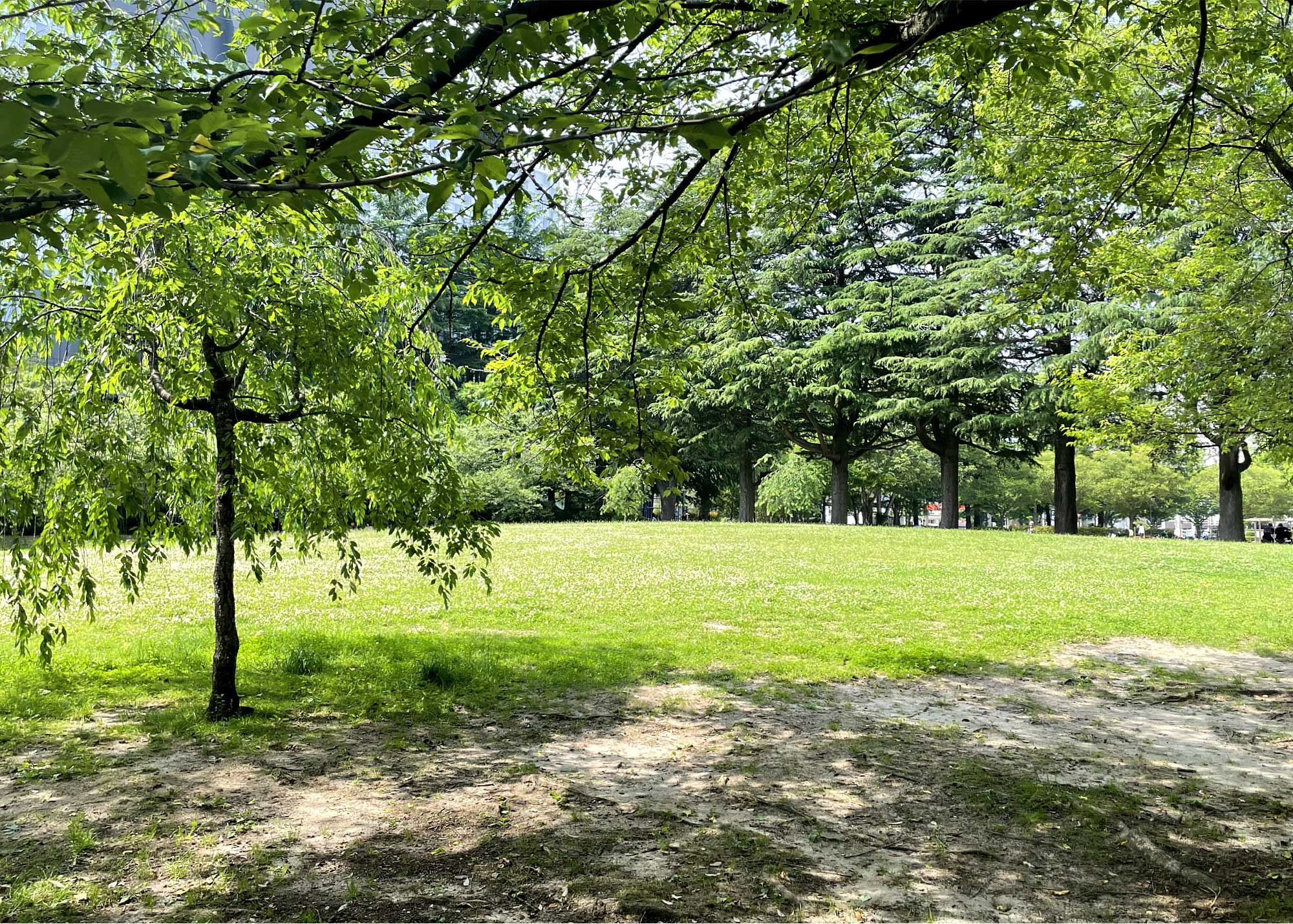 錦町公園